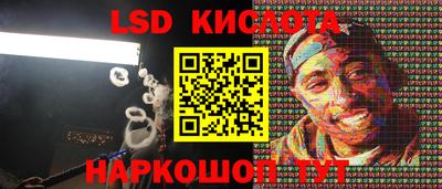 гидропоника Дубна