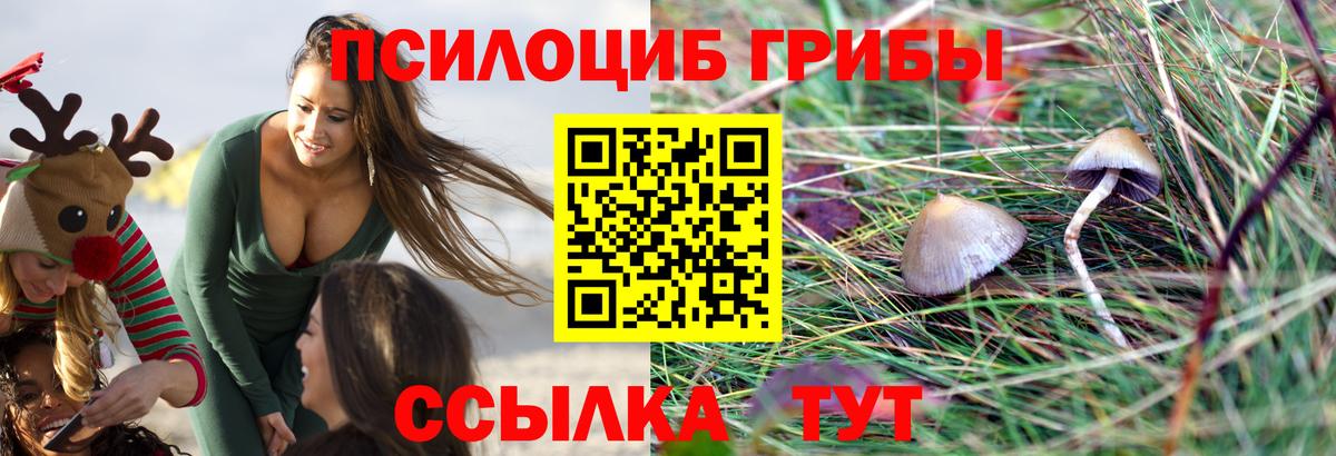 Дубна  цены наркотик  Вход с VPN  Псилоцибиновые грибы прущие грибы 